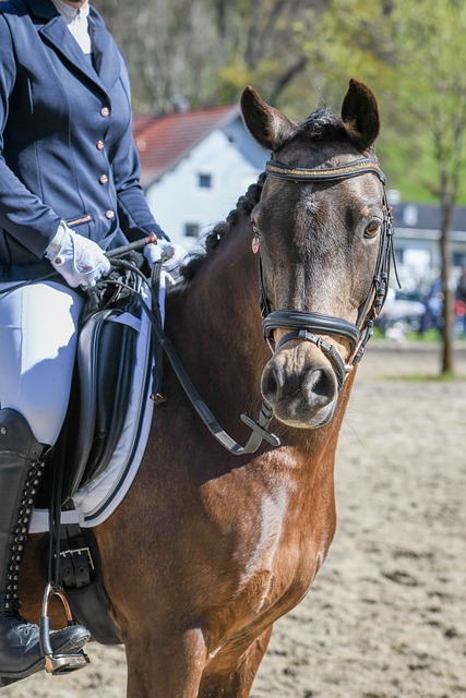 格林狂砍21+8+6！火箭连胜取得历史第六，冲击总冠军.