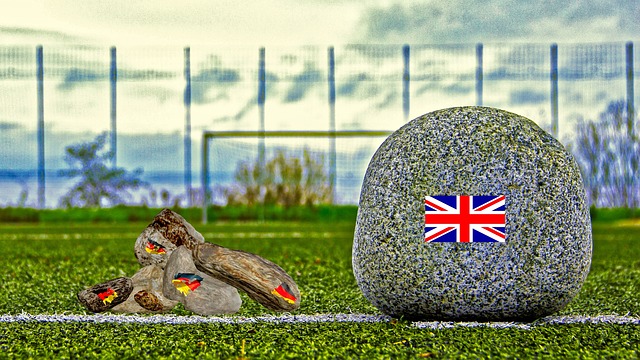 外国专家：亚冬会彰显中国组织能力 给哈尔滨带来发展契机.