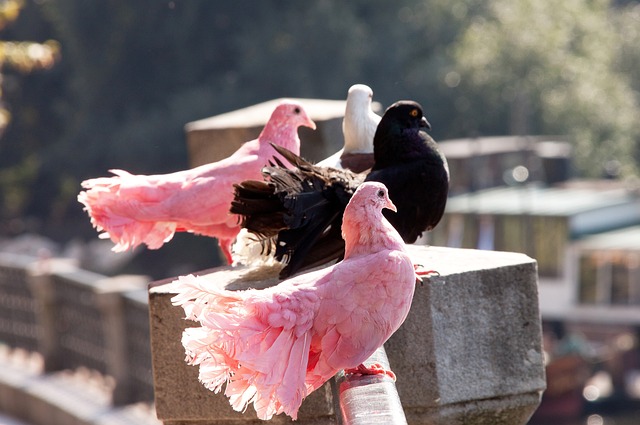 中国男篮的8号球衣传承！从首任8号匡鲁彬到中国队长赵睿.